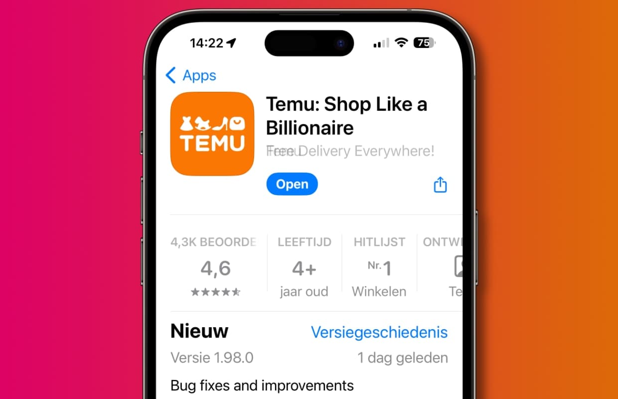 De rol van de Temu-app in moderne e-commerce